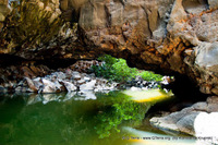tours israel