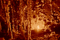 Caving (spelunking / snapling) in Israel - Colonel Cave