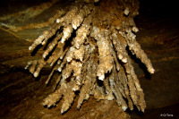 Caving (spelunking / snapling) in Israel - Colonel Cave