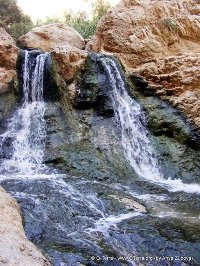 Canyoning (snapling) tours in Israel - Canyon Ein Bokek