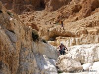 tours israel