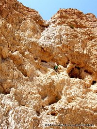 tours israel