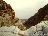 tours israel