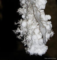 Caving (spelunking / snapling) in Israel - Sdom Cave
