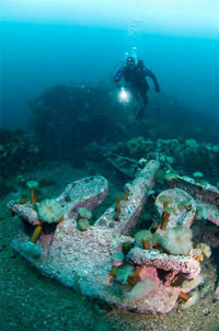 diving israel