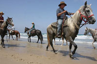 horse riding israel
