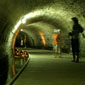 tours israel