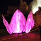 tours israel