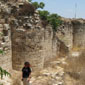 tours israel