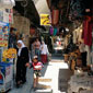 tours israel