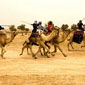 tours israel