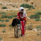 tours israel
