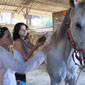 tours israel