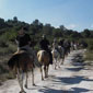 tours israel