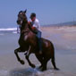 tours israel