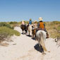 tours israel