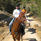 tours israel