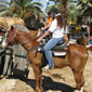 tours israel
