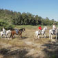 tours israel