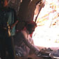 tours jordan