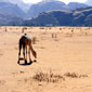 tours jordan