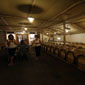 wine tour israel
