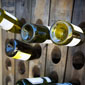 wine tour israel