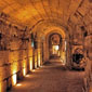 tours israel