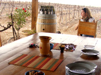 wine tours israel