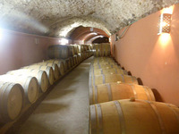 wine tours israel