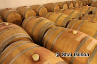 wine tours israel