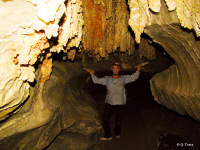tours israel